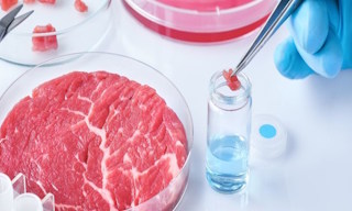 Лабораторный анализ пищевых продуктов по СанПиН в Кузнецке в октябре