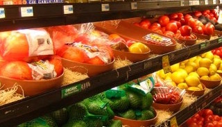 Сертификация пищевой продукции в Кузнецке – цена от 10424 руб. | ПромМир