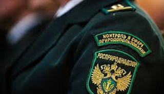 Подготовка к проверке Росприроднадзора в Кузнецке от ПромМир, стоимость услуги от 20848 руб.